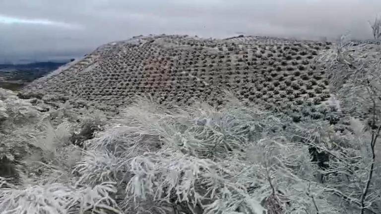 La nieve llega a Sierra Mágina: Un manto blanco cubre el paraje del Collado de la Torre