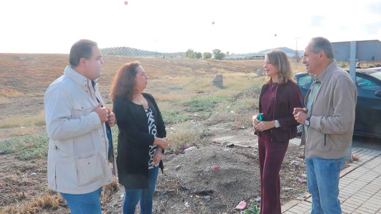Víctor Torres: “Los Presupuestos de la Junta intentan tapar la vergüenza de su gestión sanitaria”