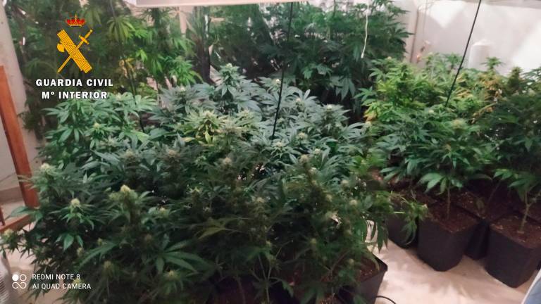 La Guardia Civil detiene a una persona por tráfico de drogas en Torreperogil