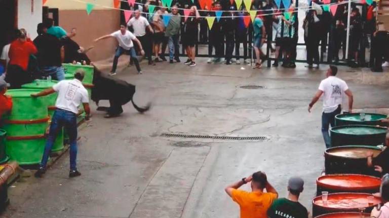 <i>Instante de la cogida del toro, que causó la muerte de Santiago San Román. / Facebook.</i>