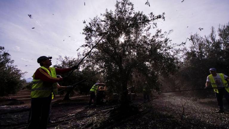 Jaén registra el mayor descenso del paro en España