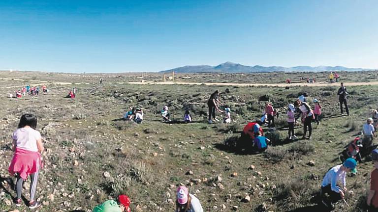 Alumnos del colegio Alonso de Alcalá ayudan a reforestar el paraje de Los Llanos