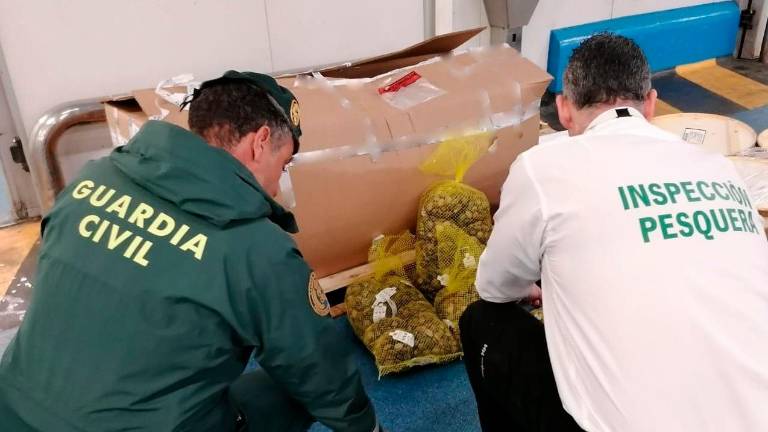 Intervenidos en Guarromán 90 kilos de chirla por no tener la talla mínima