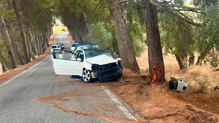 Herida tras chocar su coche contra un árbol en Mancha Real
