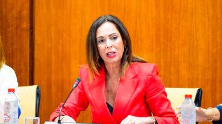 La Ley de Vivienda de Andalucía entrará en vigor el próximo 24 de enero