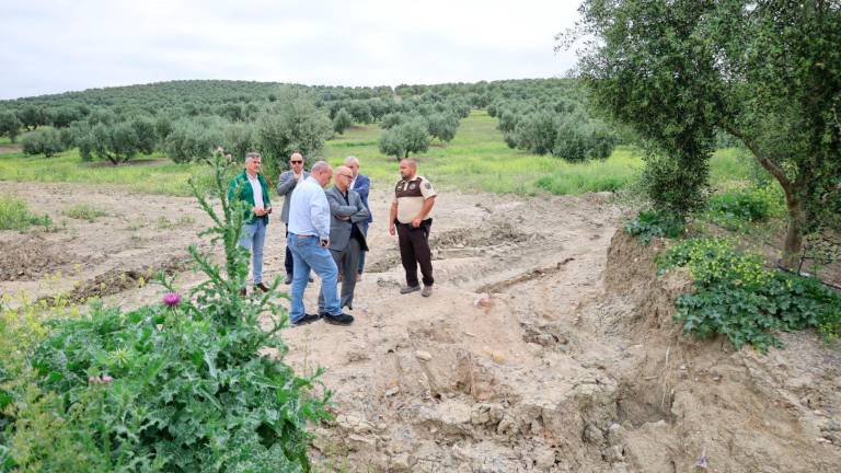 El subdelegado visita varios caminos rurales de Mengíbar afectados por el tren de borrascas