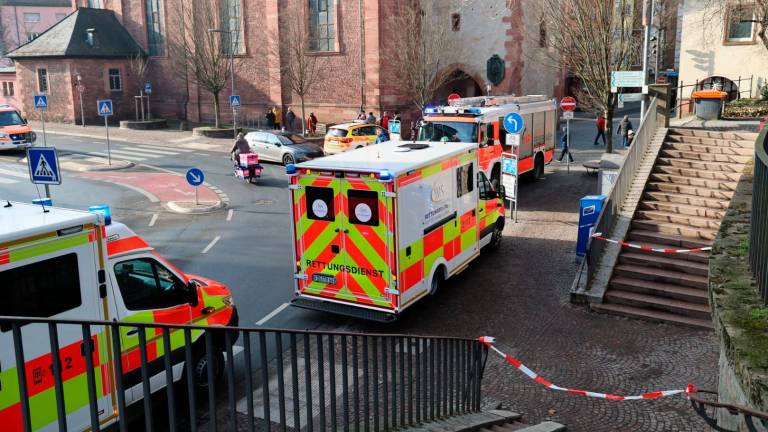 Dos muertos por un apuñalamiento en un parque a las afueras de Frankfurt, en Alemania