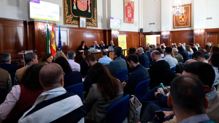 La Subdelegación del Gobierno habilita una oficina para tramitar las ayudas por el temporal