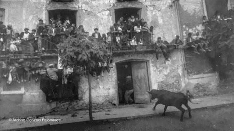La tradición de las reses bravas vuelve a Santiago de la Espada en julio tras 40 años de ausencia