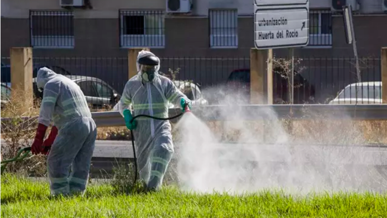 Un experto considera que la Fiebre del Nilo podría extenderse por toda España