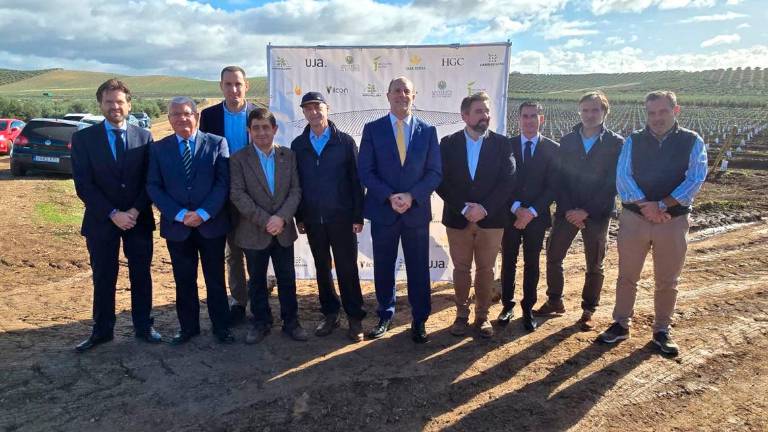 Finca Santa Rita: Centro de experimentación del olivar para el mundo