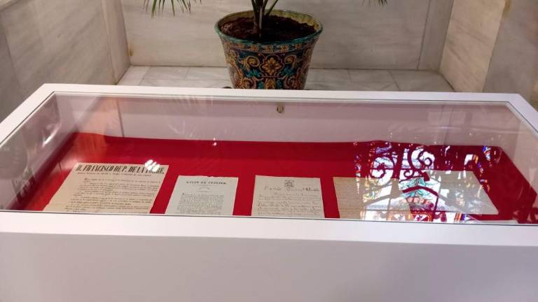 Si es amante del Carnaval, no se pierda esta muestra