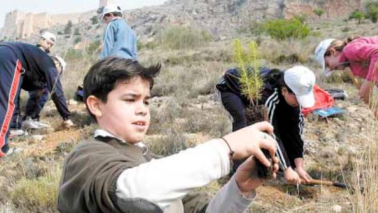 Tal día como hoy en 2004 publicábamos: Educación en contacto con la naturaleza