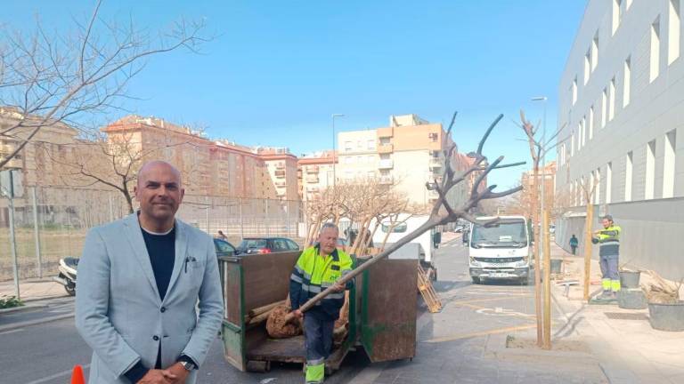 Recta final del Plan de Arbolado con la plantación de 700 ejemplares
