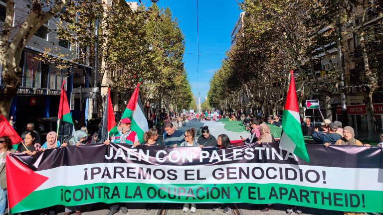 “Gaza existe, Gaza resiste”: la concentración de Jaén por Palestina recorre la capital