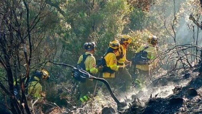 La Junta eleva el nivel de riesgo de incendios y pone ya en alerta a 2. ...