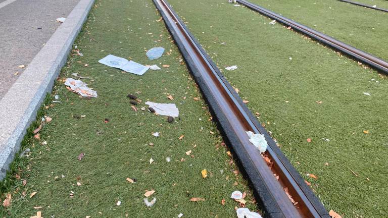 JM+ pide a la Junta la limpieza del césped del tranvía