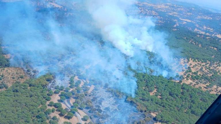 Estabilizado el incendio forestal en Andújar