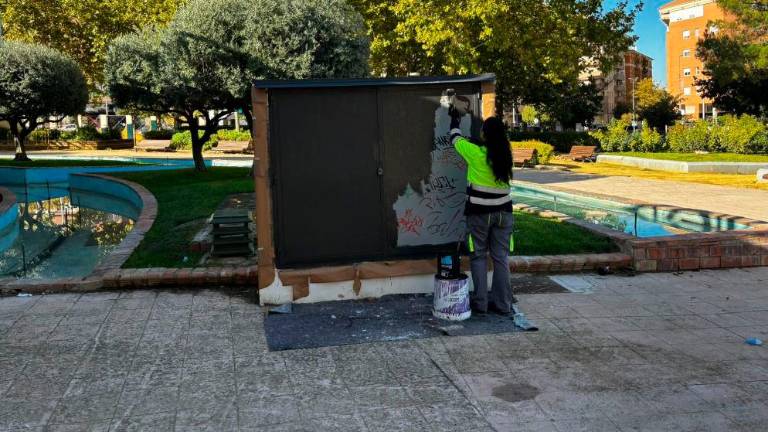Trabajos para la eliminación de pintadas en lugares públicos