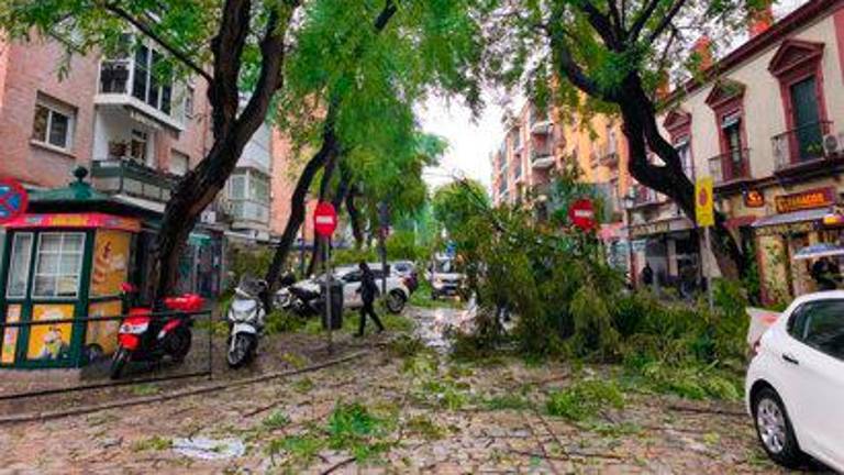 Andalucía roza el millar de incidencias por el temporal con máxima atención al nivel de ríos