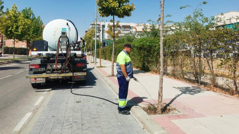 Misión: proteger el arbolado joven de Jaén