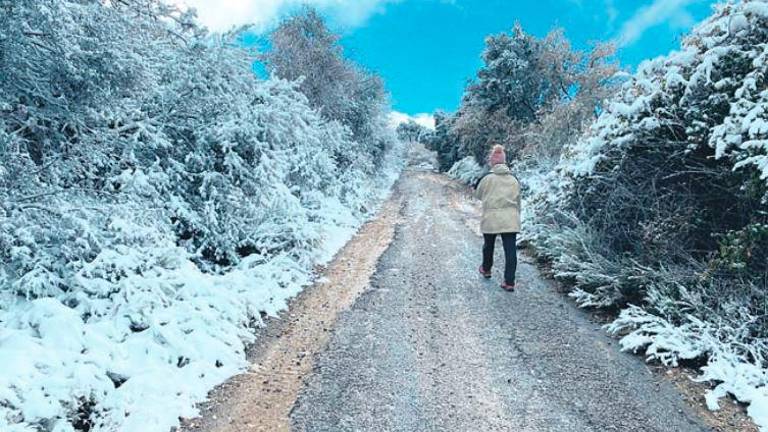 Tal día como hoy en 2020: La borrasca Dora deja un intenso manto de nieve