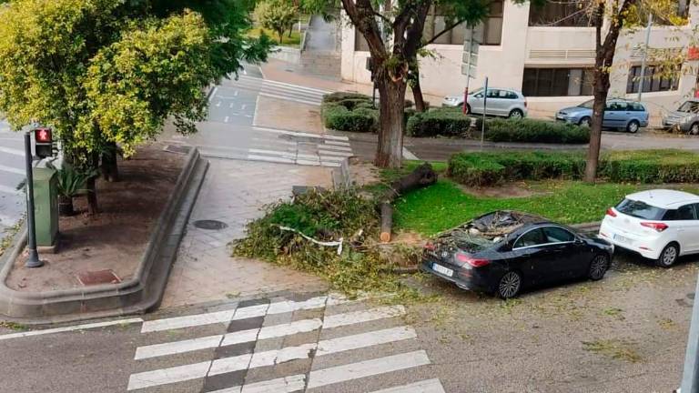 Las rachas de viento provocan una treintena de incidencias en la capital