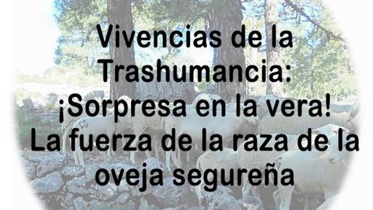¡Sorpresa en la verea! La fuerza de la raza de la oveja segureña