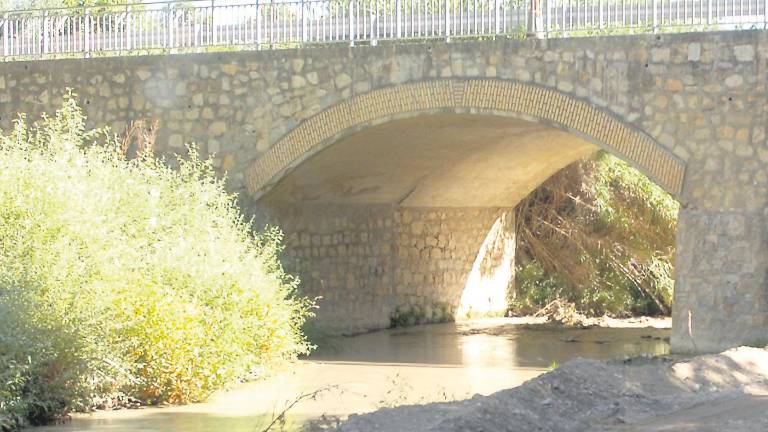 ¿Quién desbroza Los Puentes?