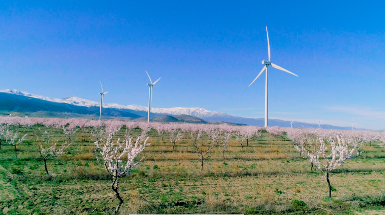 Iberdrola aporta a Andalucía cerca de 1.800 millones de euros en dos años