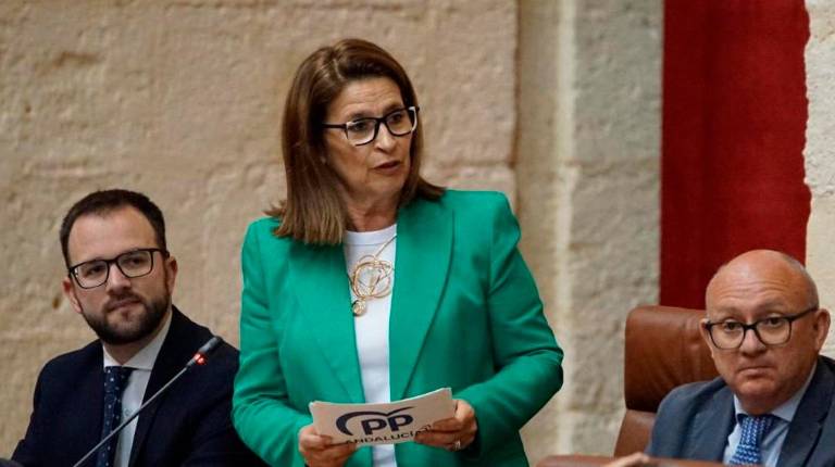 <i>La vicesecretaria de Igualdad y Bienestar Social del PP de Jaén, Lola Martín. / PP de Jaén. </i>