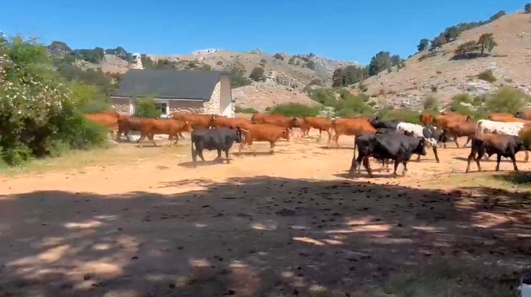 <i>Clip rescatado del vídeo, grabado por Jesús Cozar.</i>