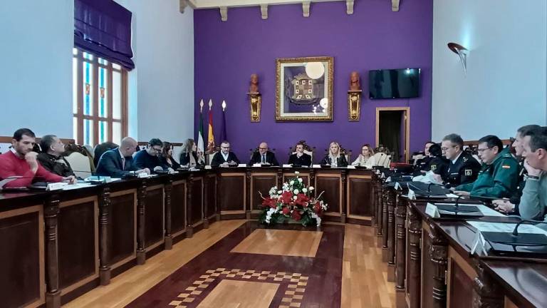 Celebración de la Junta Local para coordinar la seguridad en la carrera de San Antón. / Ayuntamiento de Jaén.