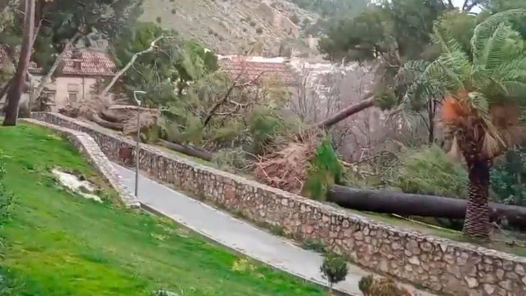 Destrozos en el Parque del Seminario a causa del temporal