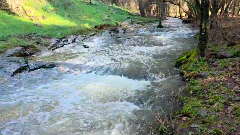 Ruta por Sierra Morena (2): Baja con fuerza el río La Campana por La Aliseda