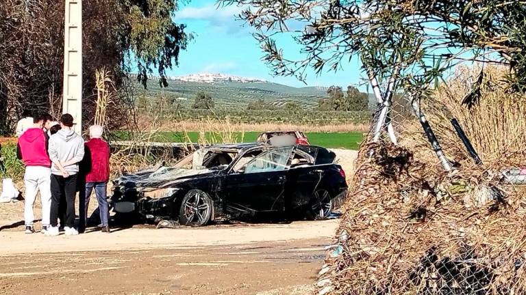 Recuperado el coche que se precipitó al Guadalbullón el pasado domingo