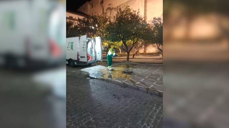 Un operario realiza labores de limpieza viaria en el centro de Jaén. / Ayuntamiento de Jaén.