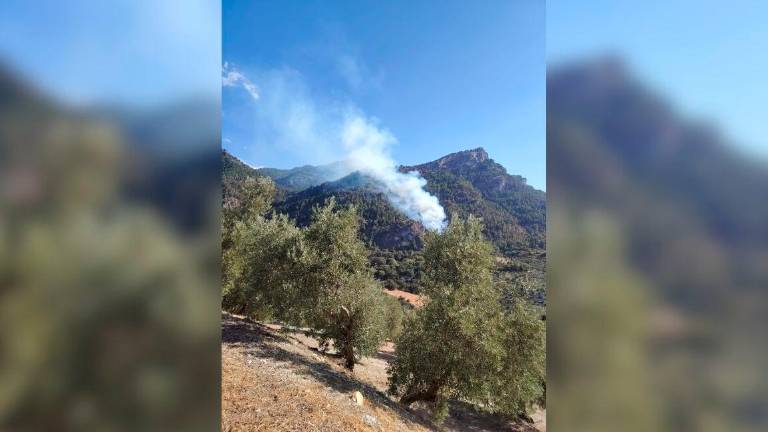 Incendio forestal en la Fuente del Cefano, en la Sierra de Cazorla