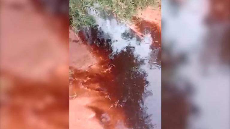 Pacma denuncia posibles vertidos contaminantes en el Arroyo del Espino de Castellar