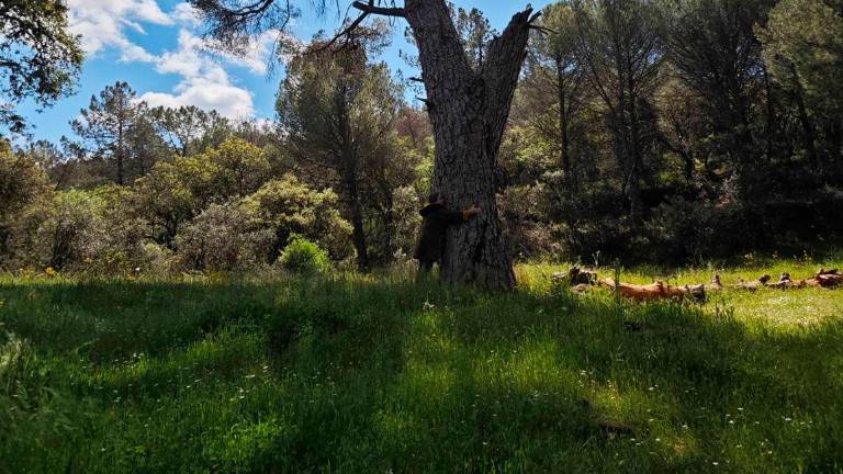 Rosario Pardo nos descubre Despeñaperros y la Comarca Norte, este domingo a las 21 horas, en diariojaen.es