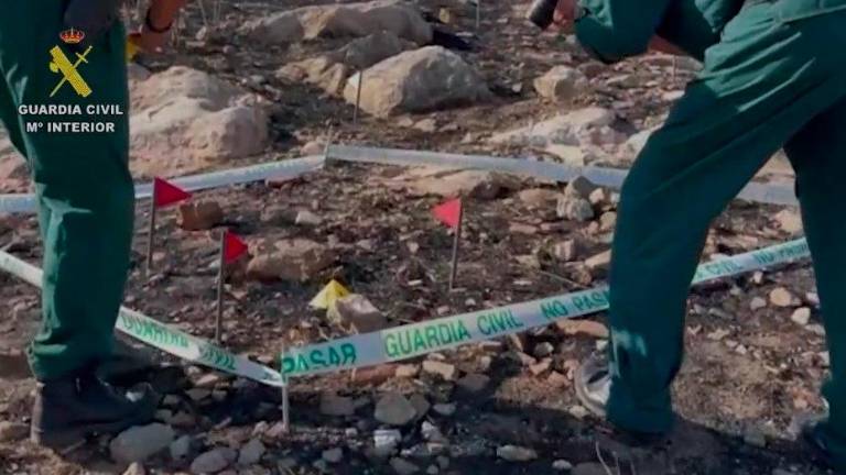 Detenido el presunto autor de seis incendios forestales en Málaga