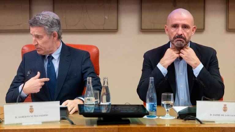 El PP, sobre Vox: “Si son demócratas deben ser feministas”