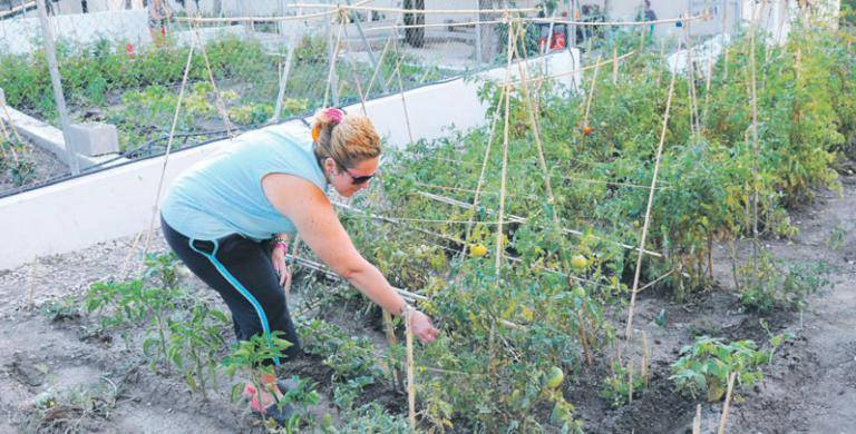 <i>Una vecina del Polígono del Valle cuida uno de los huertos en los que tienen plantadas hortalizas y verduras. / Archivo histórico Diario JAÉN. </i>