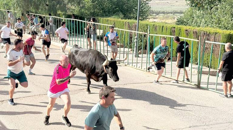 <i>Espectáculo de toros en Génave. / Juanfran Paredes.</i>