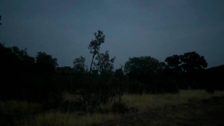 Así se escucha la berrea en el límite de Jaén con Ciudad Real