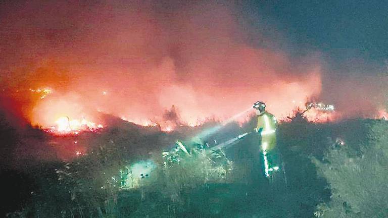 Bomberos sofocan un fuego de maleza en Ronda de los Olivares