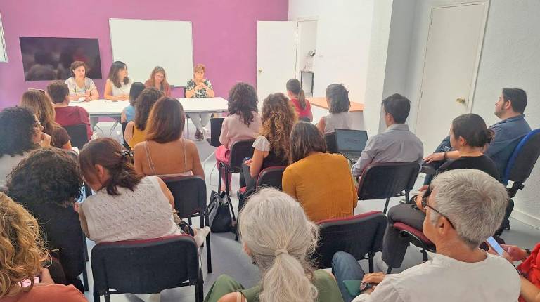 <i>Imagen de la reunión del Consejo Local de Igualdad. / Ayuntamiento de Jaén.</i>