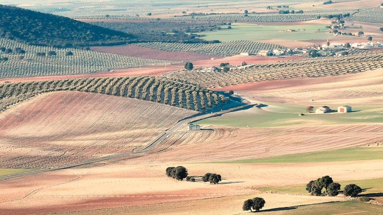 Castilla la Vieja y nuestra Jaén