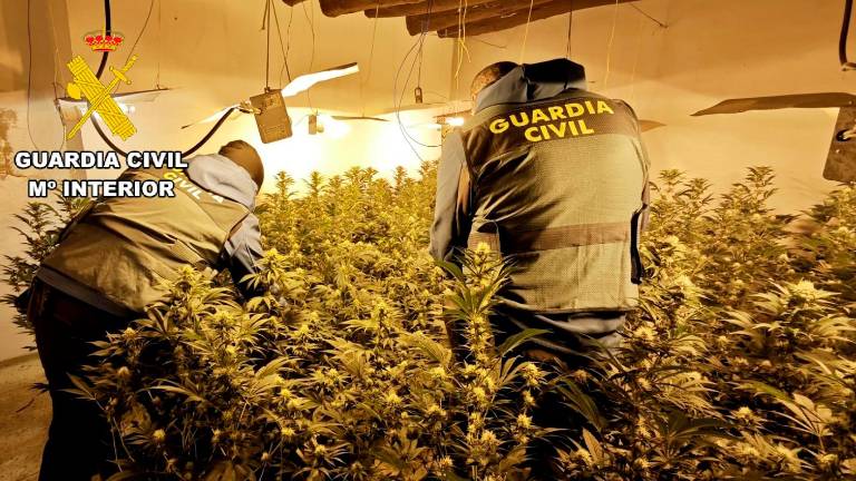Cuatro detenidos en Alcalá la Real tras desmantelar tres plantaciones de marihuana