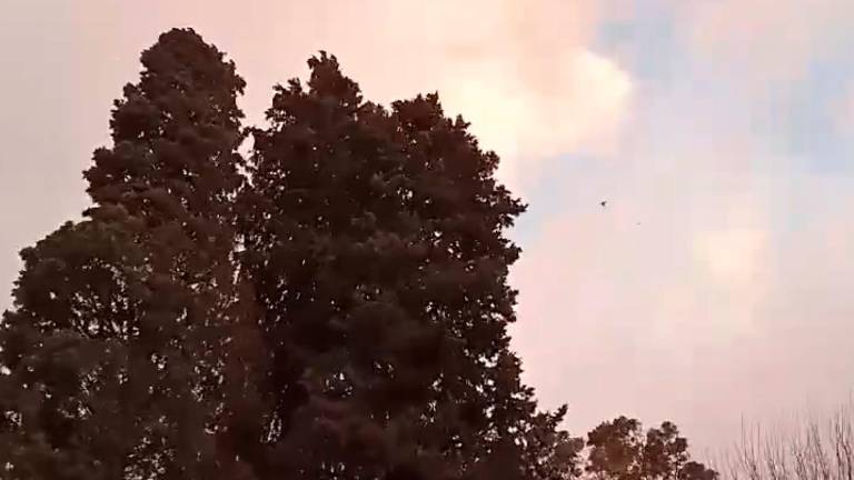 Vean la fuerza del viento en Jaén capital